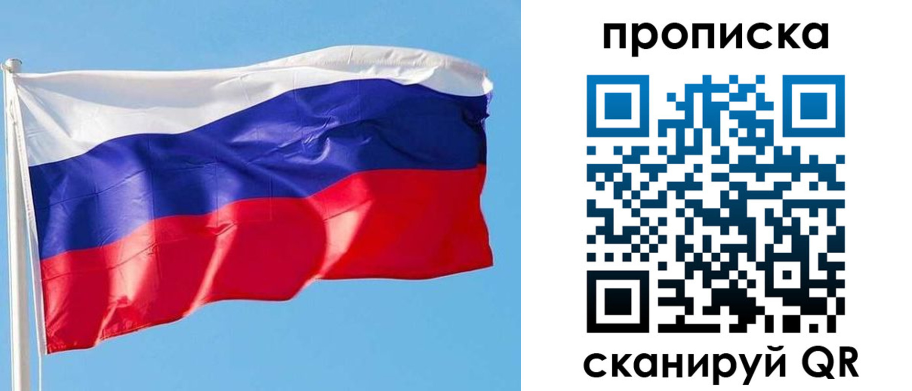 прописка поиск в Шумихе